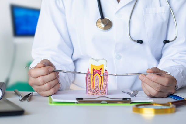 Best Emergency Dental Care for Trauma or Injury in Enfield, NC